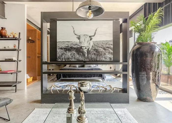 Condesa, Departamento Completo